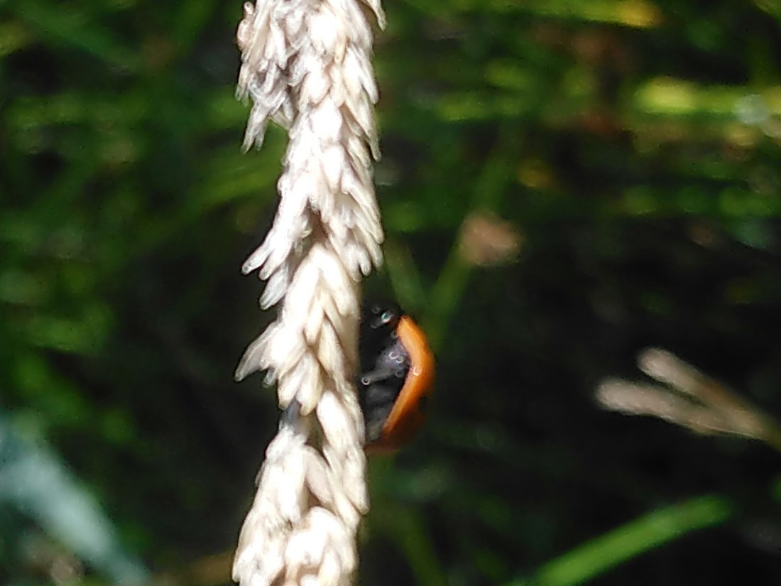 33,34,169,191.818634