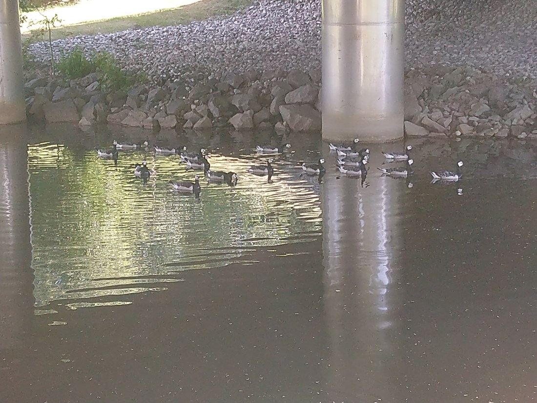 34,35,250,262.848083