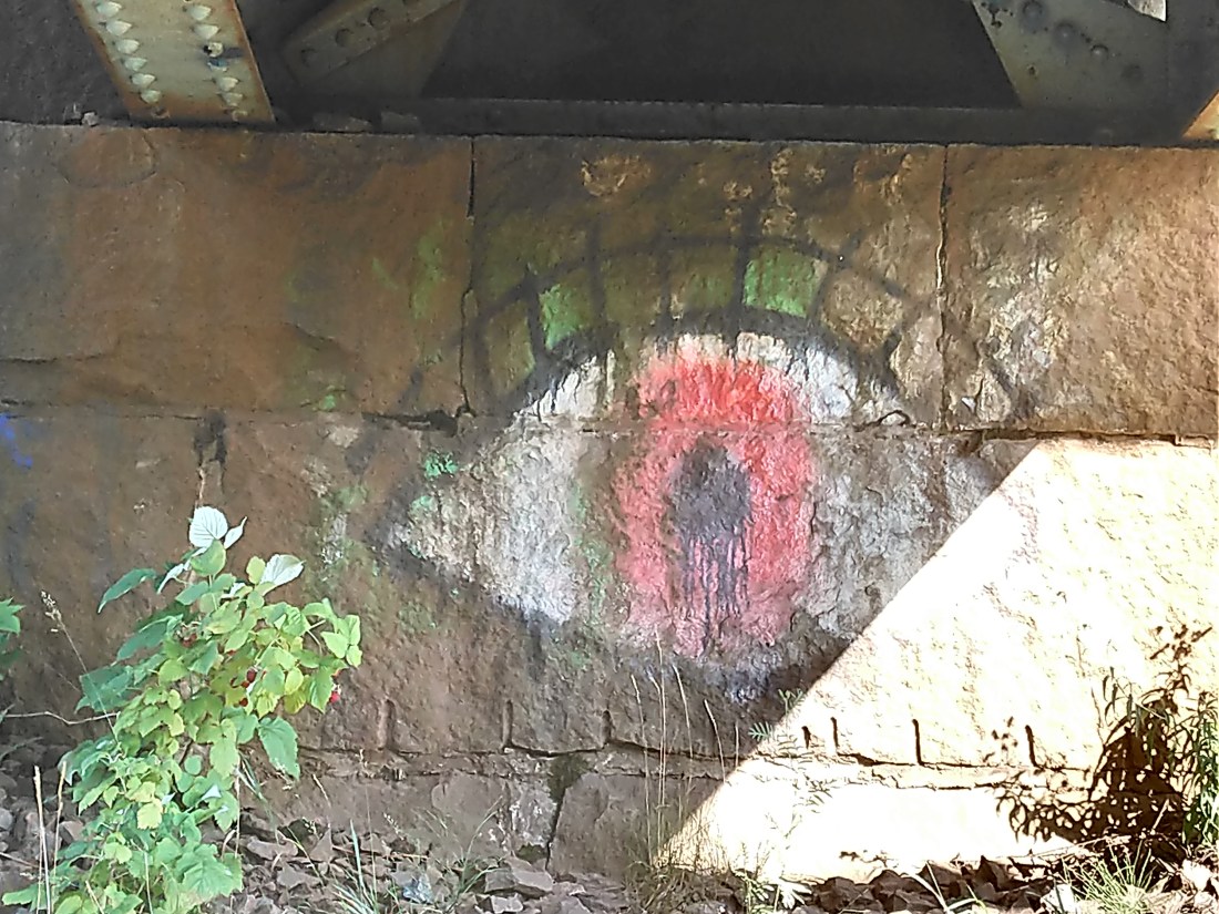 35,35,229,232.664703