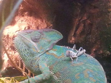 IMG-20151207-WA0001 (2)