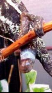 Screenshot_20181013-213827